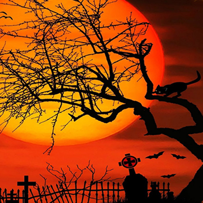 2025 Halloween Howl